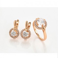 Elegants rotaslietu komplekts 